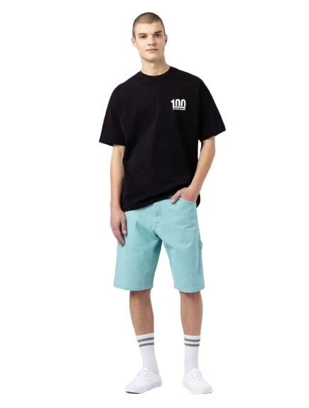 DICKIES DUCK CANVAS SHORT DK0A4XNGC441 - Image 4