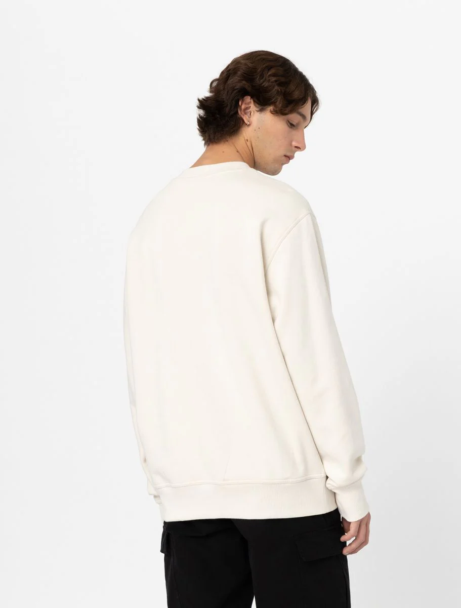Dickies Felpa girocollo Uomo Oxford Beige - Image 3