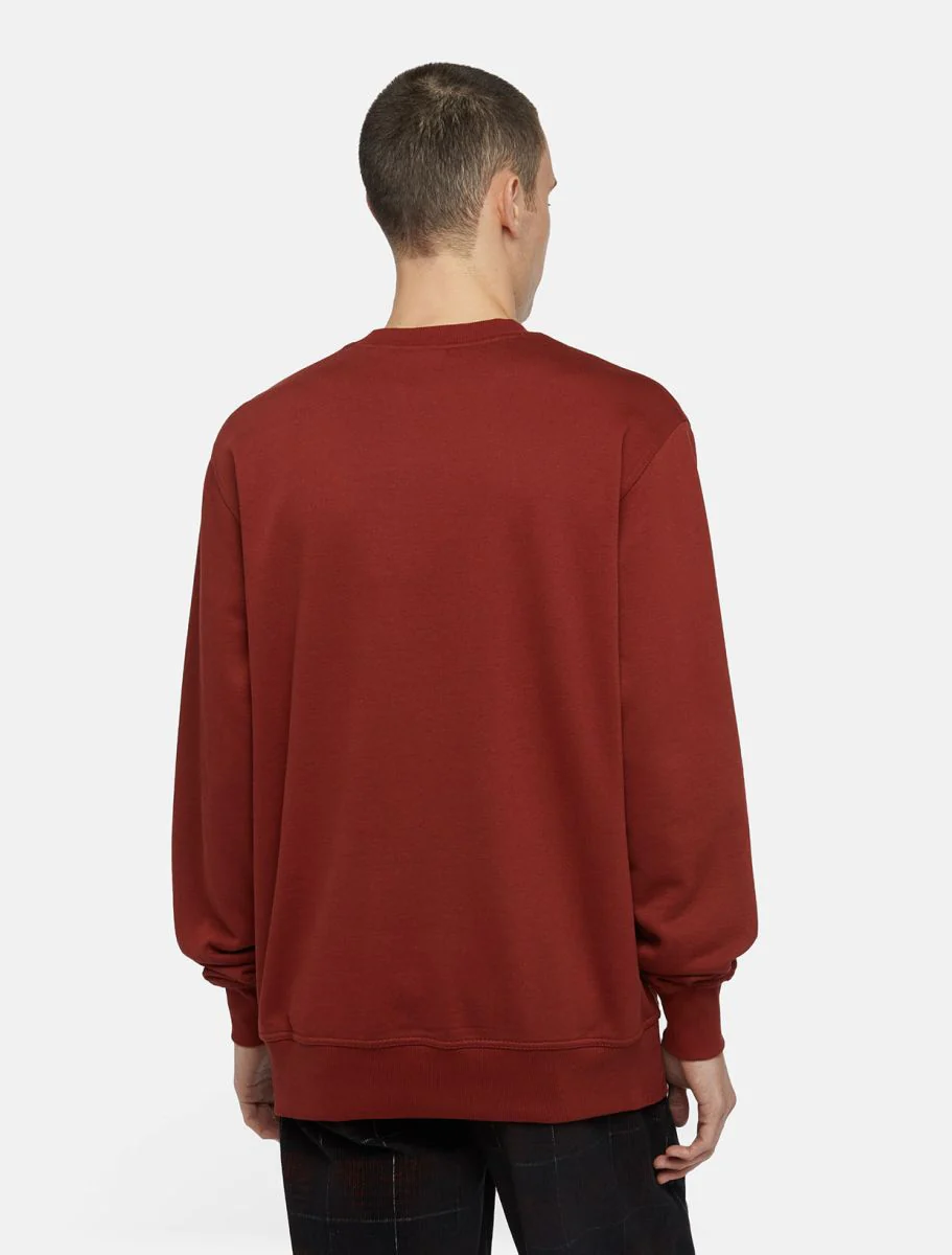 Dickies Felpa Uomo Oxford Marrone - Image 4