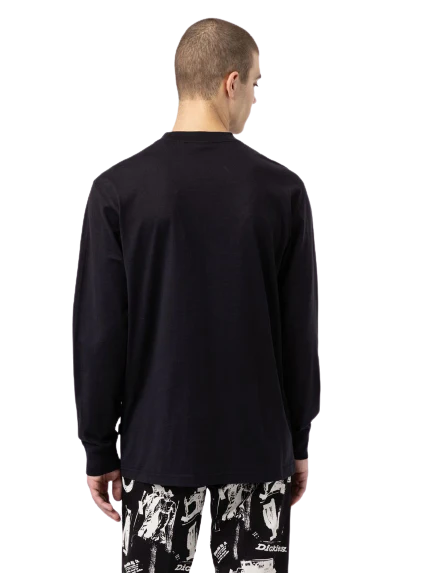 DICKIES MOUNT VISTA LS T-SHIRT DA UOMO MANICA LUNGA DK0A4XPHBLK1 - Image 4