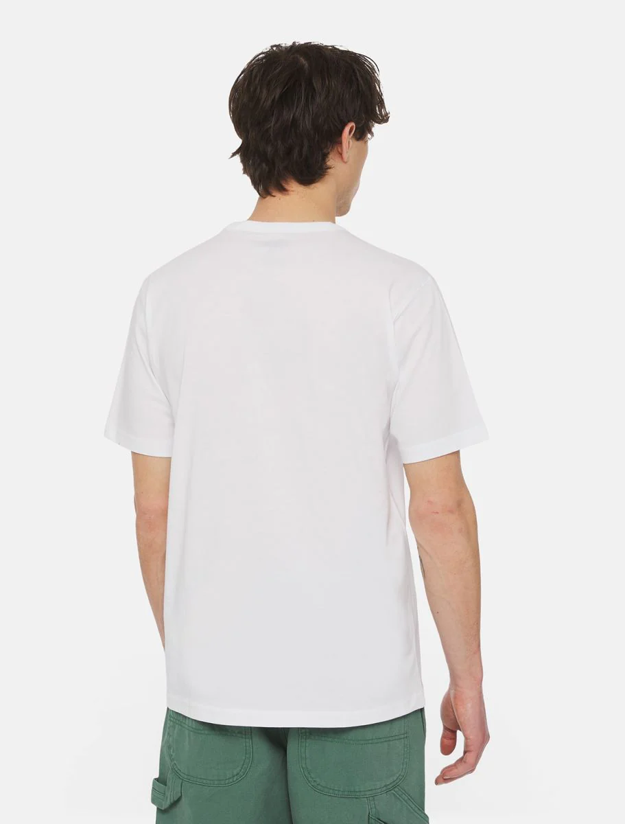 Dickies T-Shirt da Uomo manica corta Aitkin Bianca - Image 3