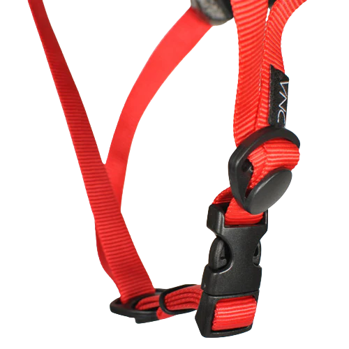 DNA GLOSS EPS HELMET DNPGHE20A008 - Image 4