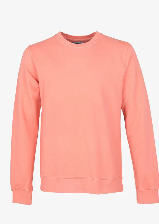 Colorful Standard Felpa da uomo girocollo CS1005 - Image 19