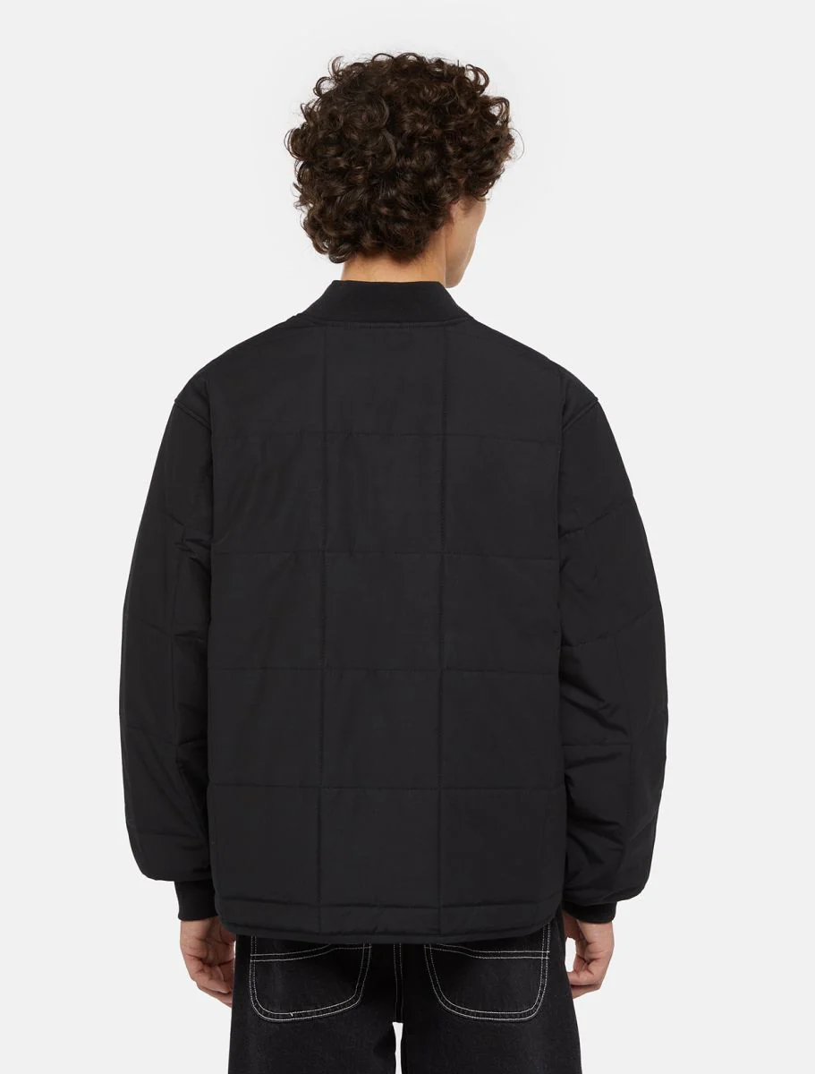 Dickies Giacca da uomo Gardiner nera DK0A4Z35BLK1 - Image 3