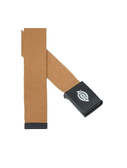 Dickies Cintura unisex Orcutt beige scuro - Image 2