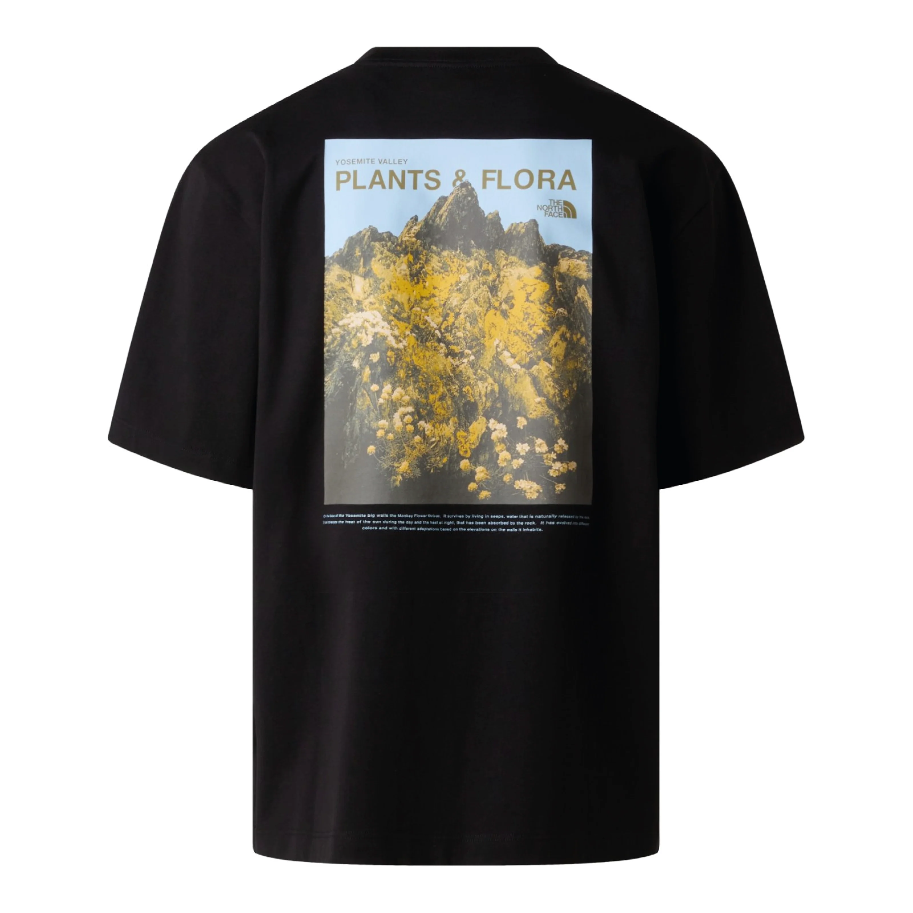 The North Face T-Shirt da uomo manica corta Plant & Flora nera - Image 2