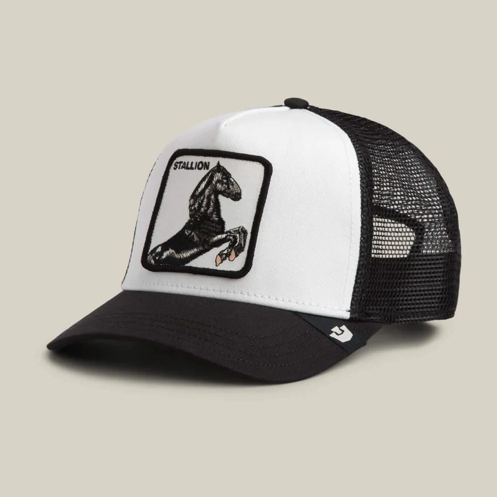 Goorin Bros Cappellino unisex Stallion - Image 4