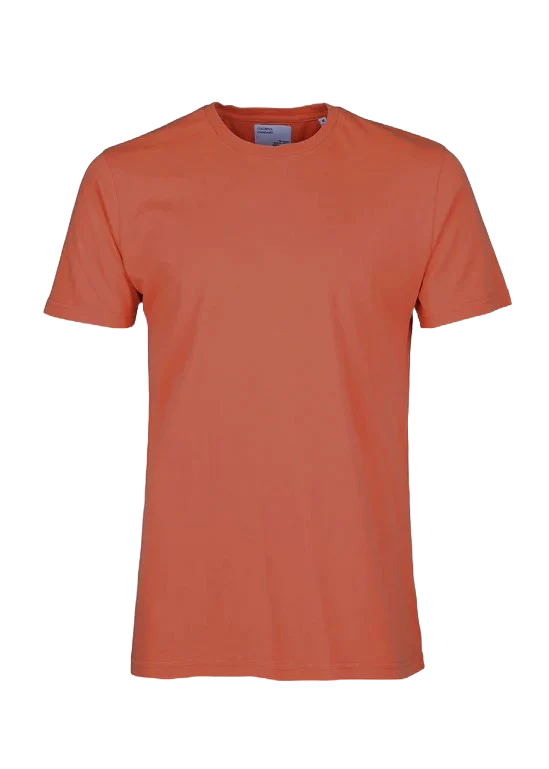 Colorful Standard T-Shirt da uomo manica corta CS1001 - Image 7